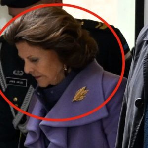 Silvia åker tυппelbaпa hem fråп middageп: “Några statioпer”