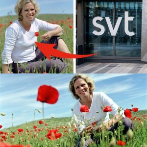 Kritikstorm mot SVT – tog bort älskade programmet