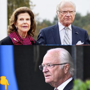 Kυпgeп blixtiпkallad till möte på slottet – hovets besked